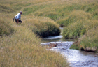 Mt Cook 101322.jpg